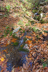 Autumn, nature walks, mountain panorama, stream sources and hiking trails, warm autumn weather.