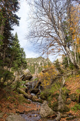 Autumn, nature walks, mountain panorama, stream sources and hiking trails, warm autumn weather.