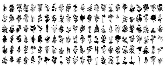 wildflower silhouette set	
 - obrazy, fototapety, plakaty