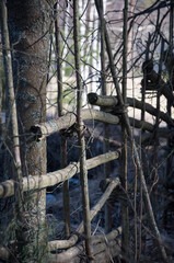 Obraz premium Old-fashioned traditional wooden fence in the forest