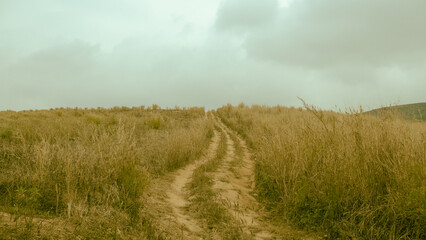Arid grass landscape have back ground sky, same savanna grassland