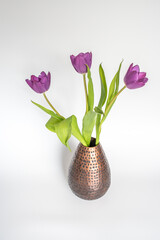 Tulpen