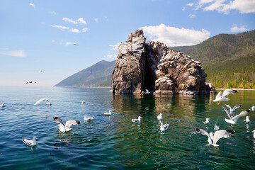 A small rocky island where gulls and cormorants nest. View from the yacht. Beautiful summer landscape.