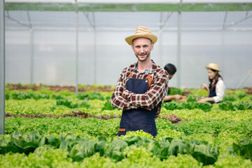 A man owns a hydroponic vegetable garden, he grows wholesale hydroponic vegetables in restaurants and supermarkets, organic vegetables. new generations growing vegetables in hydroponics concept