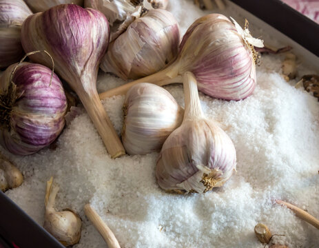 Heads of garlic are stored in coarse table salt