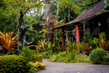 Luxury landscape design of the tropical garden