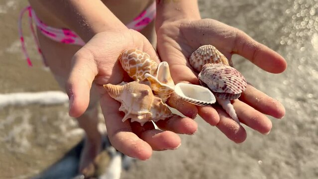 Small seashells lie on girl's hands against background of sea, water, waves, sea foam. Girl holds in hands full  small seashells, close-up. Concept of vacation, holidays, summer. Slow motion video. 