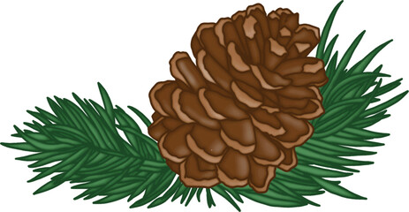 Pinecone with pine leaves clipart winter design element isolated on white background for pattern, decoration, planner sticker, sublimation and more.