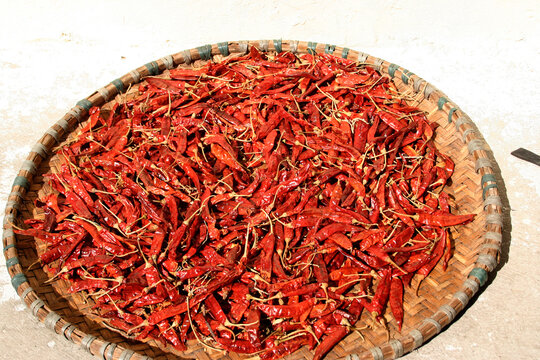 chile picante rojo secando al sol en una bandeja vegetal