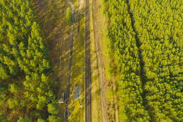 Rozległa równina porośnięta sosnowym lasem. Pomiędzy drzewami widać pojedyńczy, prosty tor kolejowy. Zdjęcie wykonano z wysokości przy użyciu drona. © boguslavus
