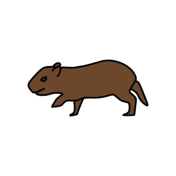a capybara runs very fast