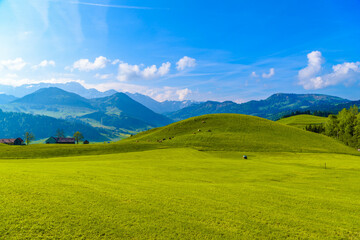 Fototapeta na wymiar Green fields with blue sky, Schoenengrund, Hinterland, Appenzell Ausserrhoden Switzerland
