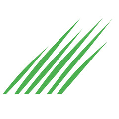 Line, Line Art, Line stripe, Line Shading, Line Pattern