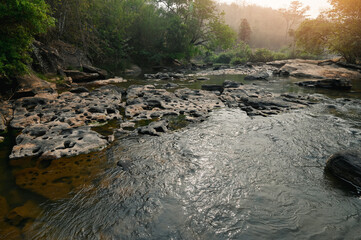 River stream waterfall in forest landscape, beautiful nature water stream with  rocks in the...