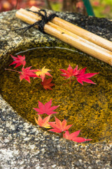 日本　京都府京都市にある金福寺の手水舎と紅葉の葉