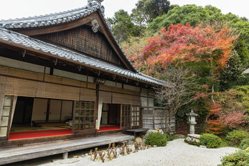 日本　京都府京都市にある金福寺の庭園と紅葉