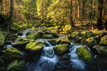 Selbstklebende Fototapete Waldfluss Creek in mountain forest