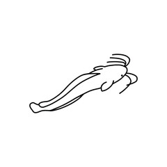 white catfish drawn from above