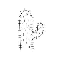 Vector isolated one single simplest prickly cactus with many needles colorless black and white contour line easy drawing