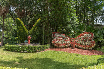 Flower in Busch Gardens Tampa Bay. Florida. USA