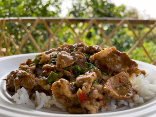 rice with pork