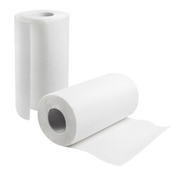 White paper towel rolls cut out