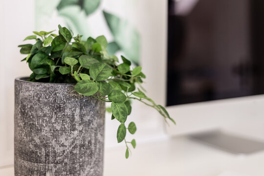 fake indoor plant on office desktop