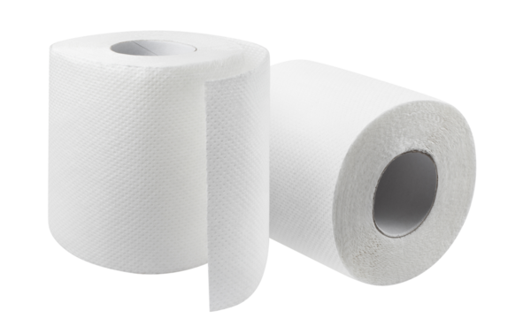 Two rolls of white toilet paper, cut out