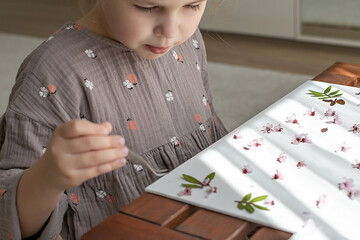 Girl and herbarium. Child making herbarium in home. preparations for craft with kids. Herbarium...