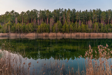 Evening by the lake with water reflection and forest in background.
