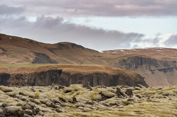 Iceland Moss Landscape with Mountain and Cloudy Sky.