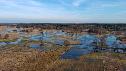 Spring backwaters around a small river, Poland.