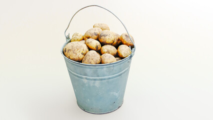 Pail of the potatoes isolated on white background, metalic Pail, 3D render