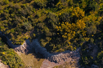 Calden forest landscape, Prosopis Caldenia plants, La Pampa province, Patagonia, Argentina.