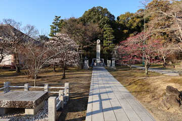 A temple in Kyoto: a distant view of Senbotsusha-ireito 
War Memorial and Japanese apricot blossoms in the precincts of Chishaku-in Temple 京都のお寺：智積院境内のある戦没者慰霊塔と梅の花の遠景