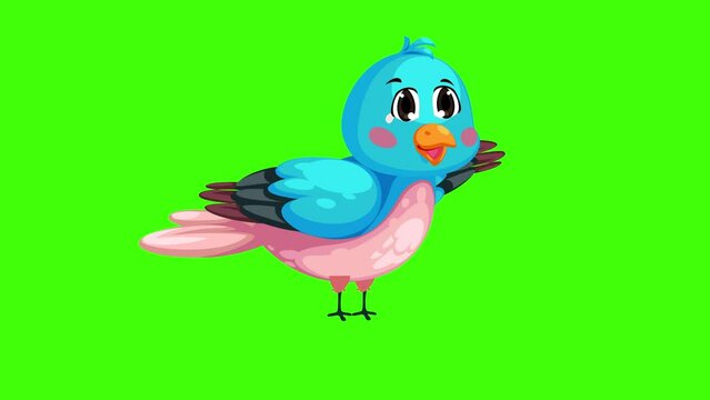 A Cute Little Bird Flying Here And There On Green Screen 2d Animation.mp4