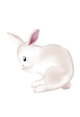 white rabbit watercolor art pet drawing, isolated fluffy hare mammal sketch illustration, adorable furry bunny for happy gift set easter decoration creativity graphic