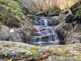 白谷沢　棒ノ折山