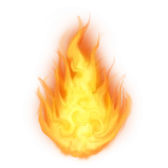 Fototapeten Realistic burning fire flames, Burning hot sparks realistic fire flame, Fire flames effect PNG © Creative Canvass