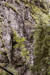 Nature scenic landscapes, Polish mountains and rocks