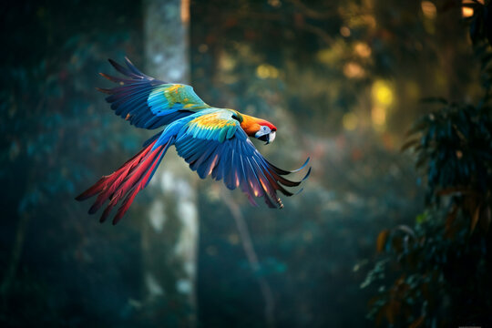 Linda Arara voando na floresta tropical criado por IA