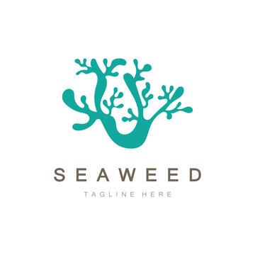 Seaweed vector logo icon illustration design.includes seafood,natural products,florist,ecology,wellness,spa.