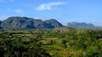 Lush vegetation with green forests, mogotes mountains in the fertile Vinales Valley, a Unesco Heritage in Cuba
