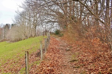 Fototapeta premium Höhenweg St. Gallen, Ostschweiz