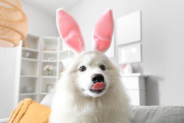 White Samoyed dog with bunny ears sitting on sofa at home, closeup
