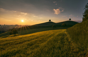 Zauberhafte Drumlins in warmer Abendstimmung. Die tief stehende Sonne und das warme Licht sorgen f&uuml;r ein traumhaftes Landschaftsbild.