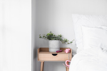 Sex toys and houseplant on table in bedroom