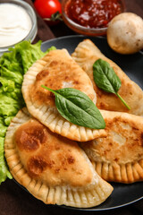Plate with tasty meat empanadas, closeup