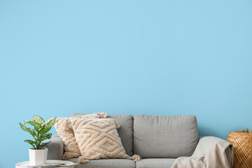 Grey sofa with cushions and houseplant on table near blue wall