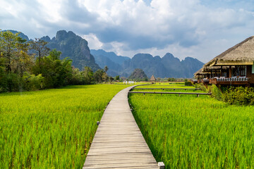 wooden path with green rice field in Vang Vieng, Laos. - 582742045